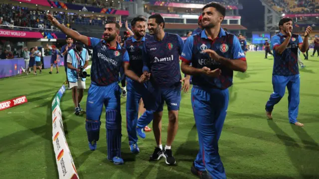 cricket