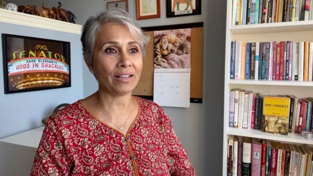 ரோபோ யானை