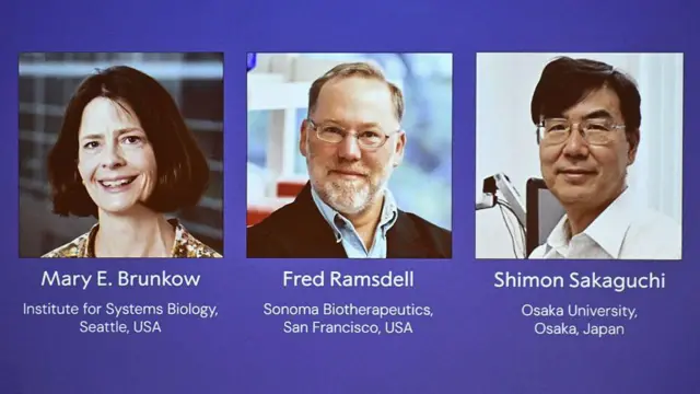 Ilustração com três fotos de cada um dos ganhadores do Prêmio Nobel de Medicina de 2025, Mary E. Brunkow, Fred Ramsdell e Shimon Sakaguchi, exibida durante o anúncio do prêmio