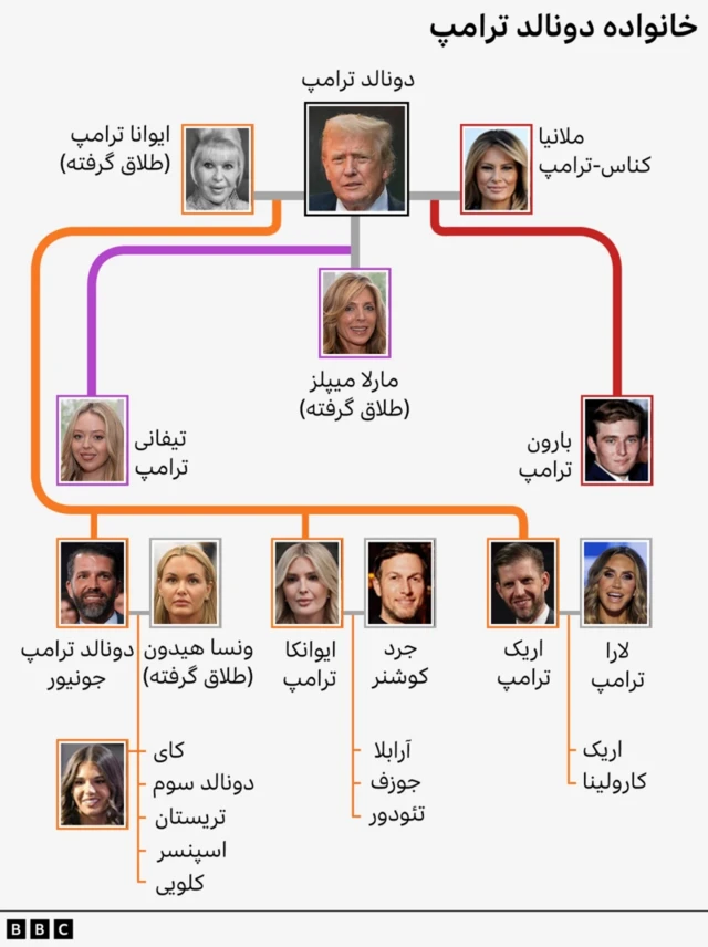 شجره دونالد ترامپ