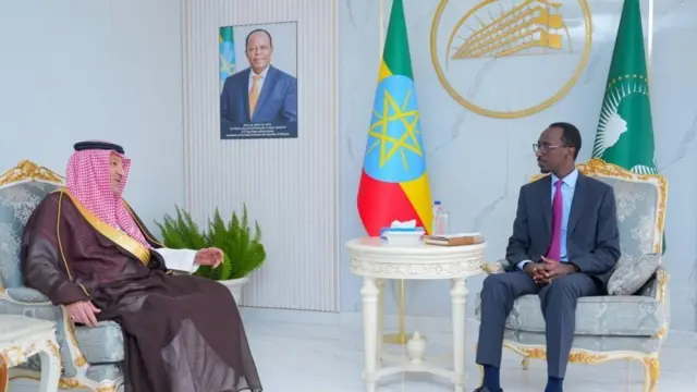 ምኒስተር ጉድያት ወጻኢ ኢትዮጵያ ዶክተር ጌድዮን ጢሞቴዎስ ምስ ምክትል ምኒስተር ጉዳያት ወጻኢ ስዑዲ ዓረብ ዋሊድ ኤል-ኸረይጂ 