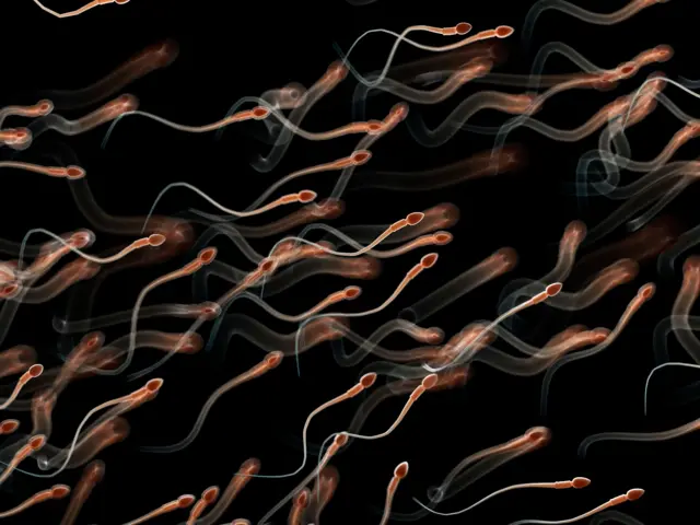 फक्त तापमान नाही, ऋतूदेखील पुरुषांच्या प्रजनन क्षमतेवर प्रभाव टाकतात, नवीन संशोधनात खुलासा