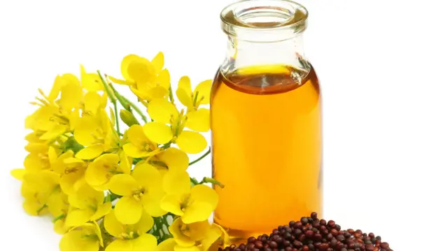 ভোজ্যতেলের চাহিদার ৫-৭ শতাংশ পূরণ করে সরিষার তেল