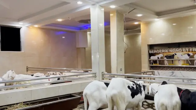 Enclos de la bergerie Ndao