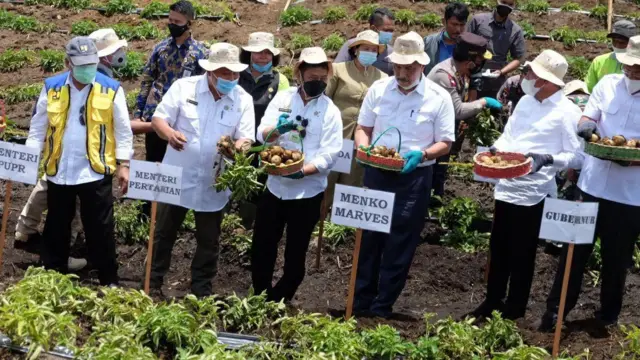 Food Estate Sumatra Utara: Perjuangan Perempuan Desa Ria-Ria Di Lumbung ...