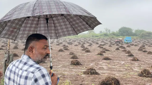 માવઠું, ગુજરાત, વળતર, બીબીસી ગુજરાતી