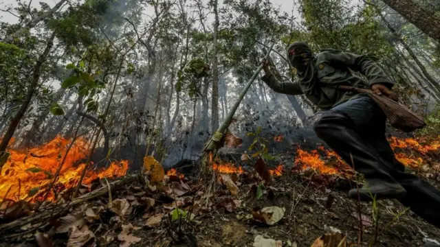 ปัญหาไฟป่าถือเป็นหนึ่งในต้นตอการเกิดฝุ่นพิษ PM 2.5