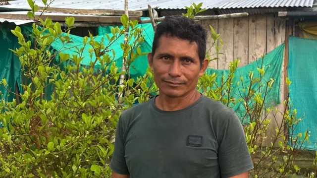Ông Perea, một nông dân trồng coca, nói mình chưa nhận được sự hỗ trợ tài chính cần thiết để ngừng trồng loại cây này