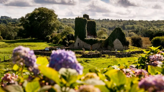 கிறிஸ்துமஸ் தாத்தா அயர்லாந்தை சேர்ந்தவரா