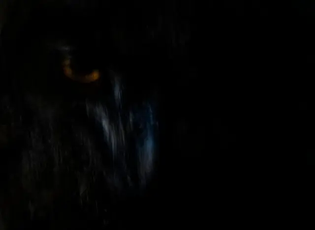 हे छायाचित्र इटलीच्या साउथ टायरोल प्रदेशातील नाटर्न्स या ठिकाणी काढण्यात आलं आहे.