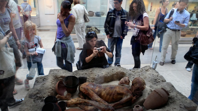 அருங்காட்சியகங்கள் பின்னால் இருக்கும் மோசமான வரலாறு