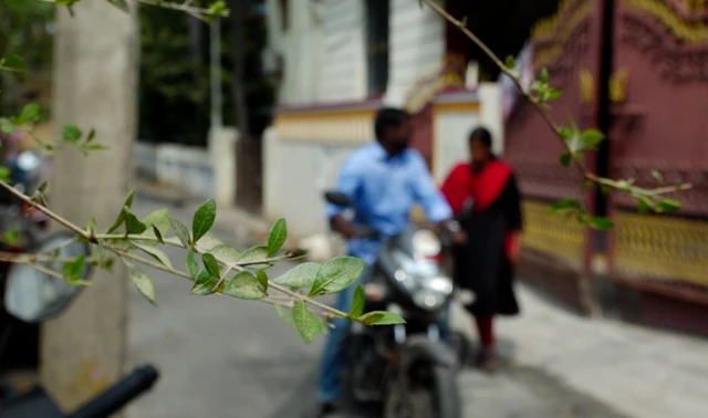 માત્ર મારઝૂડ નહીં તેઓ મારી સાથે ખરાબ ભાષાનો ઉપયોગ કરતા, મારા પિતાએ એ સમયે મને કહેલા શબ્દો મારા માટે હજુ દુ:ખદાયક છે – કીર્તિ