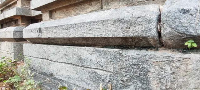 சோழர்கள்