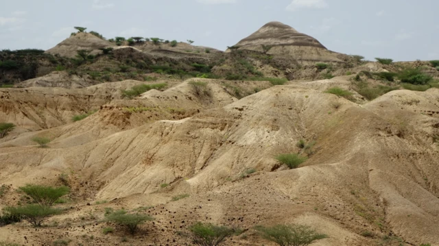 The picture shows a broad, arid landscape of tan and sandy hills with gentle slopes and eroded gullies, dotted with small green shrubs and sparse trees. In the background, there are a few dome-shaped hills and patches of vegetation, beneath a pale blue sky with scattered, wispy white clouds. The overall scene is dry and rugged, evoking a sense of ancient terrain shaped by long-gone water flows