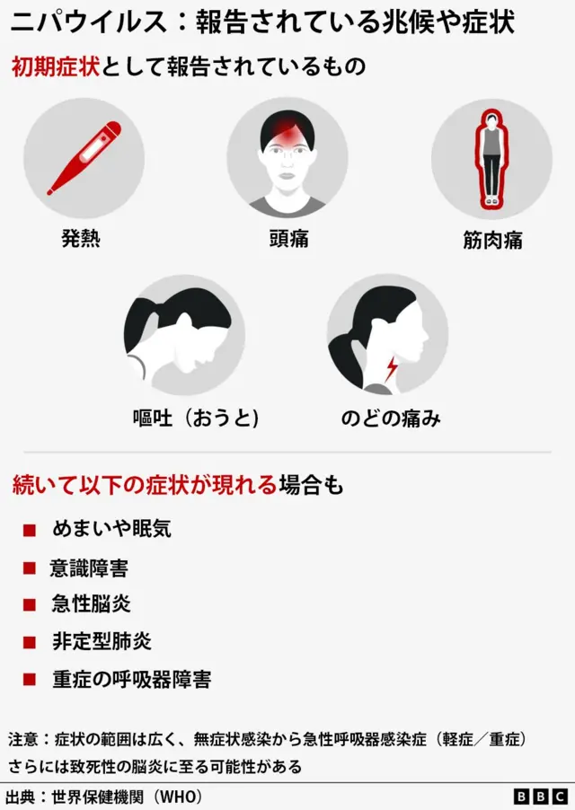 ニパウイルスの報告されている兆候や症状を示した図。初期症状として、発熱、頭痛、筋肉痛、嘔吐（おうと）、のどの痛みなどが報告されている。また、一部の人にはめまいや眠気、意識障害、急性脳炎、非定型肺炎、深刻な呼吸器障害が現れることもある。ニパウイルスの症状の範囲は広く、無症状感染から急性呼吸器感染症（軽症／重症）、さらには致死性の脳炎に至る可能性がある。出典は世界保健機関（WHO）