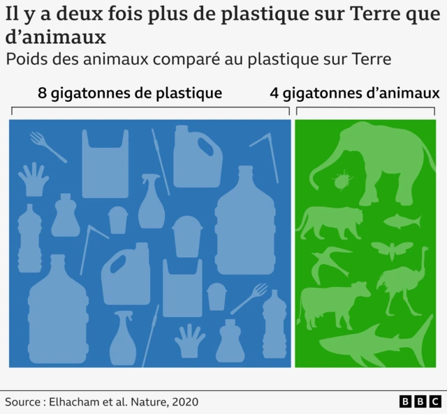 Graphique montrant 4 gigatonnes d'animaux contre 8 gigatonnes de plastique dans le monde.