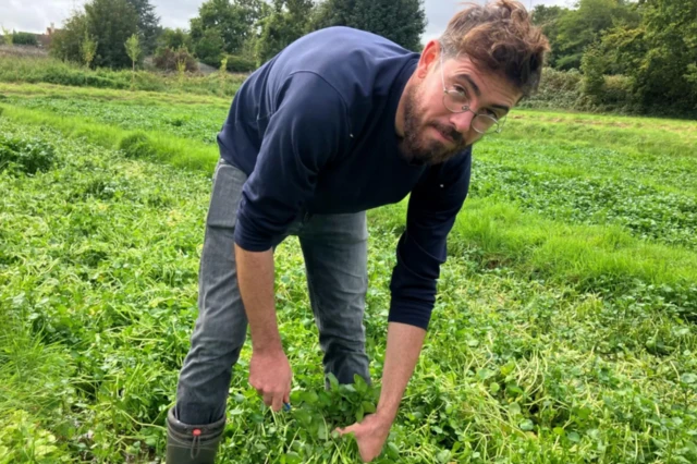 ਪਰਿਵਾਰਕ ਜ਼ਮੀਨ