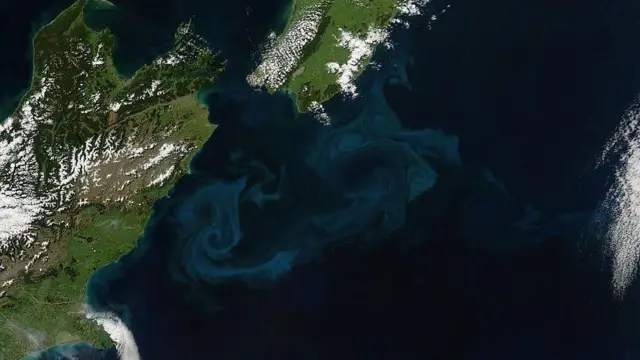 अंटार्कटिक सर्कम्पोलर धारा