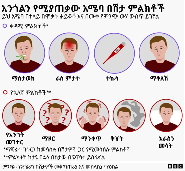 የበሽታው ምልክቶች
