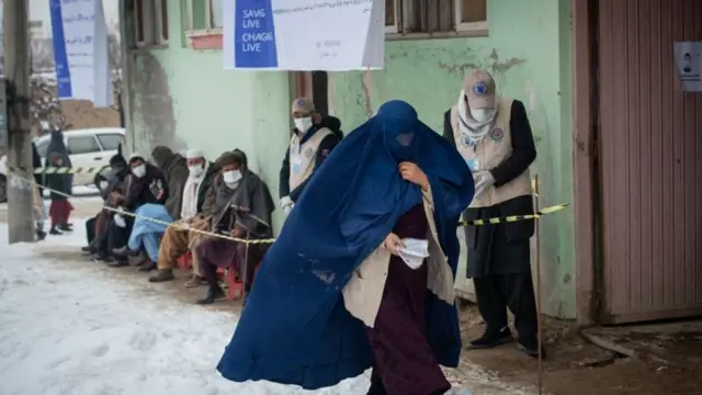 خوړو نړيوال پروګرام