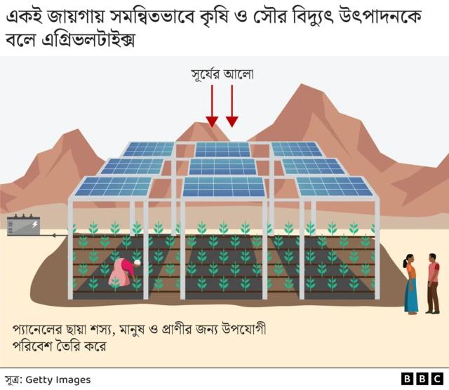 গ্রাফিক্স