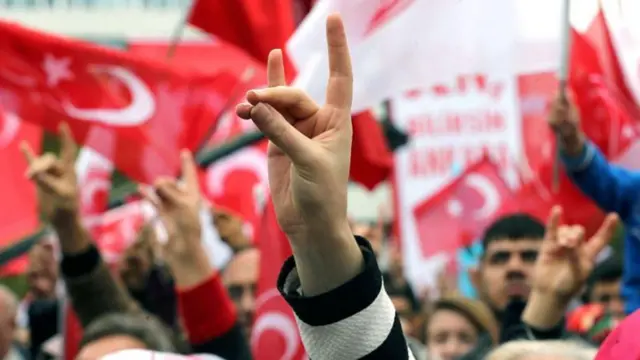 ملی‌گرایان ترک از نشانه گرگ خاکستری استفاده می‌کنند