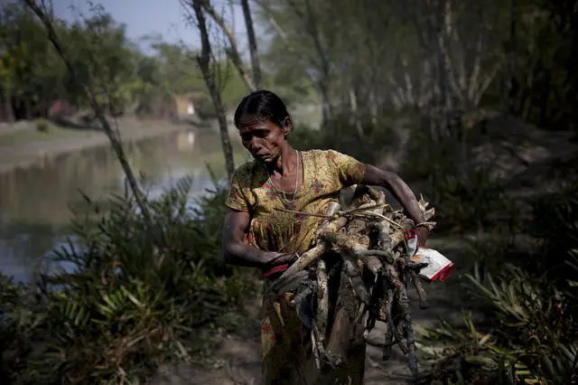  সুন্দরবনের জনপদও ঝুঁকিতে।