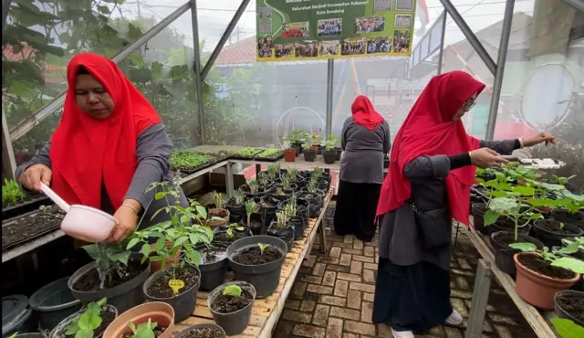 Buruan SAE KWT Kebun Sauyunan