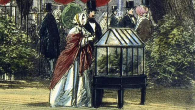 Pintura de um casal observando uma caixa de Ward numa exposição entre vegetação