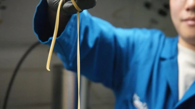 Bakteri pemakan plastik