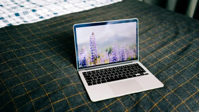 மடிக்கணினி, நல்ல பாக்டீரியாக்கள், நுண்ணுயிர் எதிர்ப்பு சக்தி, தாவரங்கள், நுண்ணுயிர் எதிர்ப்பு ரசாயனங்கள், பைட்டான்சைடுகள்