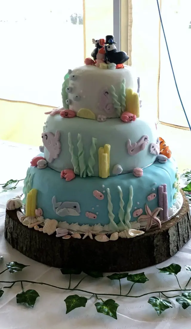 ኣብ ስዊሚንግ ሄድ ፕሮዳክሽንስ ዝሰርሑ ናይ ባሕሪ ተመራመርቲ ስነ ህይወት ዘዳለውዎ ናይ መርዓ ኬክ