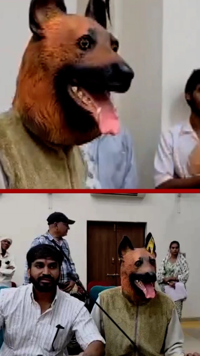 مردی با ماسک سگ در جلسه نشسته