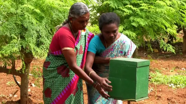 முருங்கை தேன்