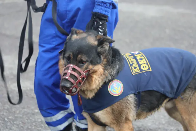 Мораль полициясы мені порно көруге асықтырды