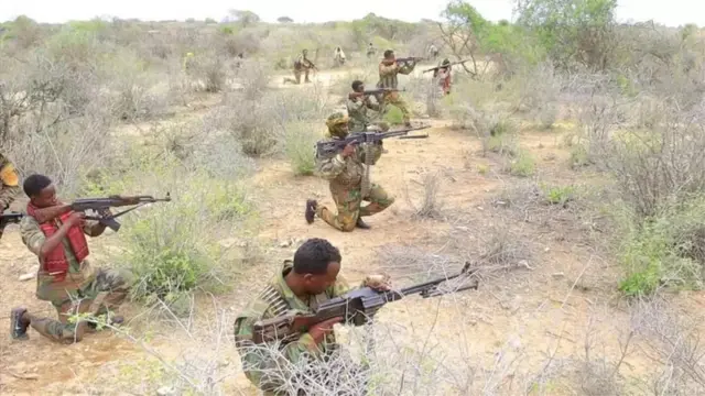 Ciidamada dowladda ee dagaalka kula jira Al-Shabaab