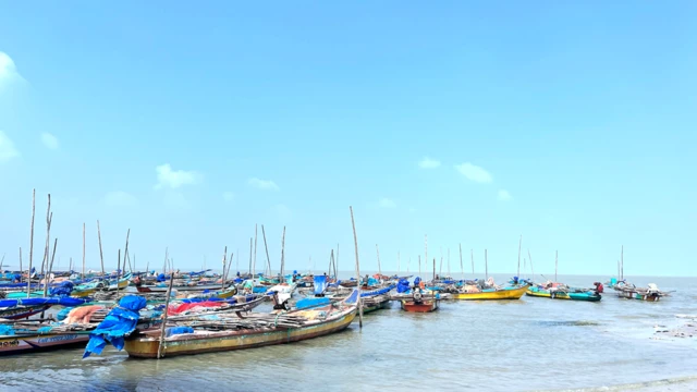 పులికాట్ సరస్సు