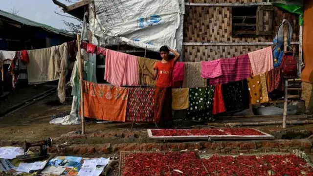 மியான்மர், ரோஹிஞ்சா மக்கள், மியான்மர் ராணுவம், இன அழித்தொழிப்பு 