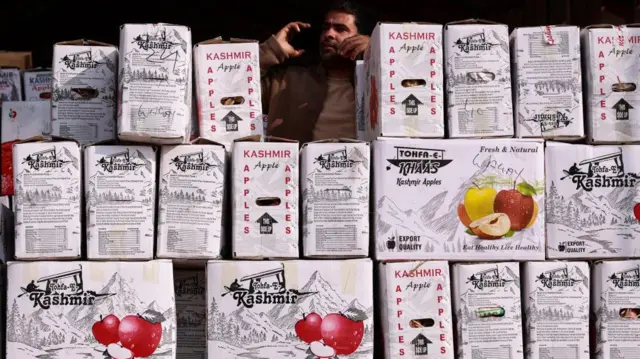 काश्मीरचं खोरं हे सफरचंद, बेरी अशा वैशिष्ट्यपूर्ण फळासांठी प्रसिद्ध आहे.