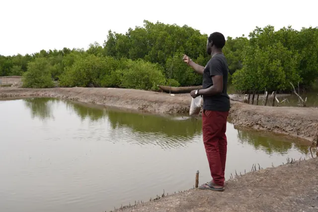 Jean-Louis Mendy nourrit les poissons dans son étang