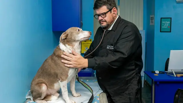 Pierre Escodro examinando um cachorro