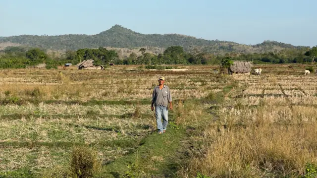 krisis air NTT, bendungan, Jokowi