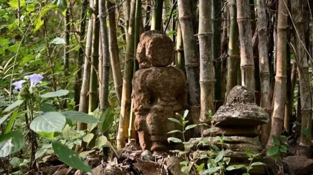 જંગલ, આદિવાસીઓ, તેલંગાણા, બીબીસી ગુજરાતી