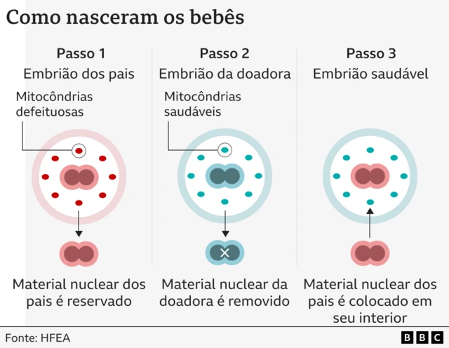 Infográfico mostrando o passo a passo do processo de fecundação usando material genético de três pessoas 