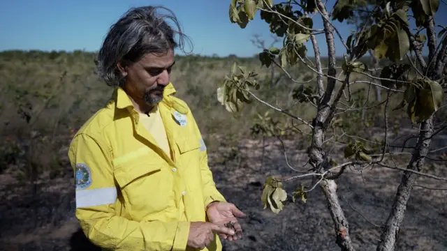 Marco Borges, com jaqueta amarela, mostra semente de árvore atingida por queimada prescrita.