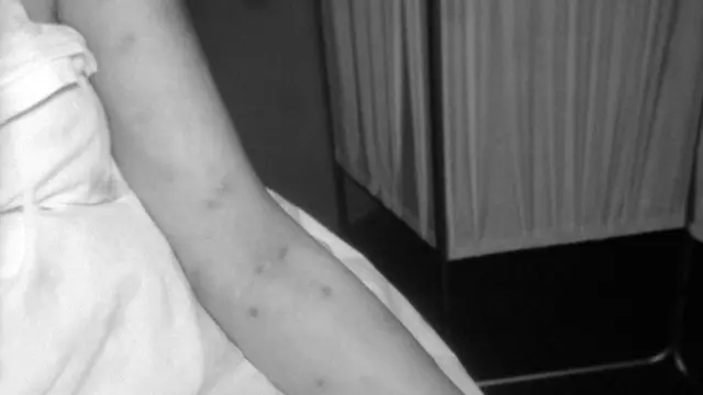 Jinsiy aloqa yolgonlari filmini tomosha qiling Xotinining mushukini yalash