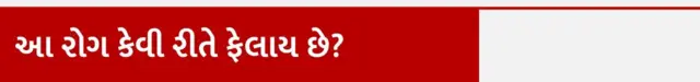 એચએમપી વાઇરસ, ભારત, ચીન, ગુજરાત, હેલ્થ, બીબીસી ગુજરાતી, બાળકો પર જોખમ