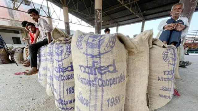 ਮੂੰਗਫਲੀ