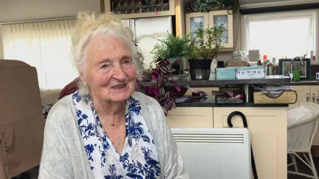 Una anciana de pelo corto y blanco está sentada en una silla marrón frente a una mesa con una pequeña maceta y un par de latas. Detrás hay una ventana y un cuadro en la pared. Lleva un cárdigan gris y una blusa blanca de cuello en V con estampado de flores azules.