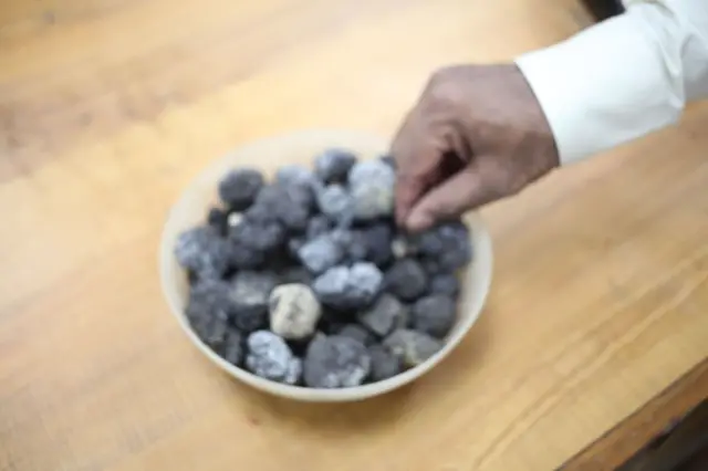 नॉड्यूल्स